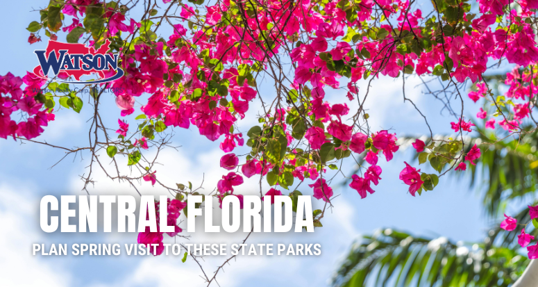 Plan a Spring Visit to These Florida State Parks | Watson Realty Corp.